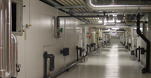 建設(shè)一個(gè)蔬菜氣調(diào)冷庫(kù)要多少錢(qián)？